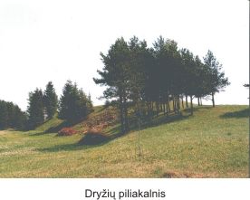 Dry�i� piliakalnis