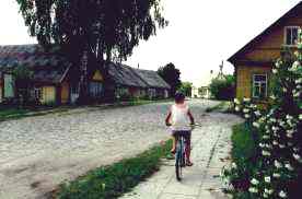 Saldutiskis